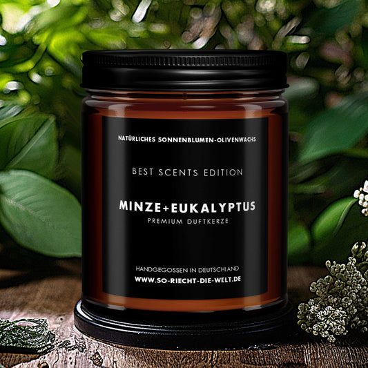 Minze & Eukalyptus Kerze - Best Scents Edition